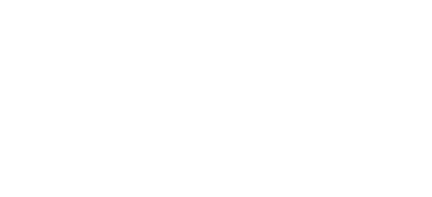 UNC Charlotte Logo